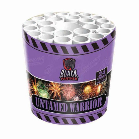 Untamed Warrior 24 Shot Cake By Cube Fireworks - BUY 1 GET 1 FREE!