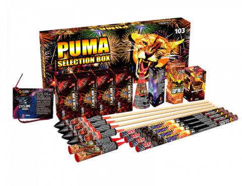Puma Or Venus Selection Box By Cube Fireworks - BUY 1 GET 1 FREE!